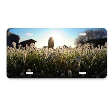 Imagem de DIYthinker Cenário de natureza ciência, luz do sol, placa de licença florestal, decoração de carro, acessório de aço inoxidável