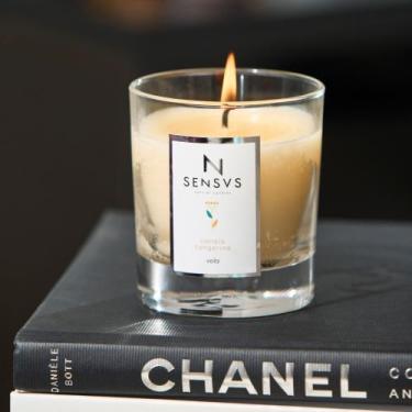 Imagem de Vela aromática decorativa sensvs "canela tangerina" - cera de coco (se