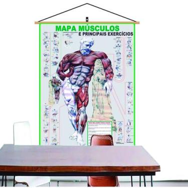 Imagem de Mapa Músculo Exercício Academia Treino Corpo Banner Laminado Com Cordi