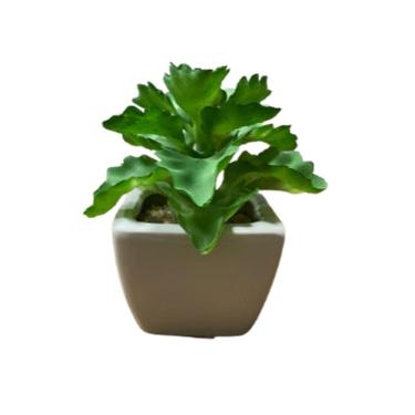 Imagem de Suculentas Artificiais Mini Vaso Cerâmica Branco