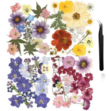 Imagem de Flores prensadas Nuanchu Dried Flower Crafts com pinça 68 unidades