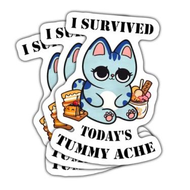 Imagem de (3 peças) Adesivo I Survived Today's Tummy Ache – Meme Cat engraçado, decalque de vinil impermeável para garrafa de água, copo, capacete, carro, laptop, telefone, presentes e mais - 7,6 cm