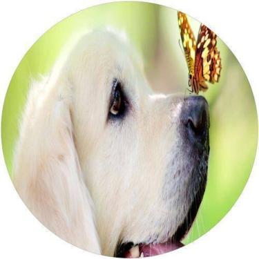 Imagem de Capa De Estepe Ecosport Aircross Dog E Borboleta