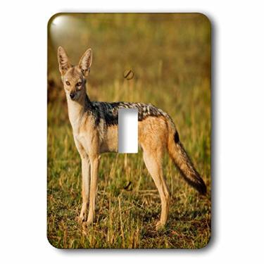 Imagem de 3dRose Chave seletora Jackal Maasai Mara Wildlife lsp_188276_1, preto