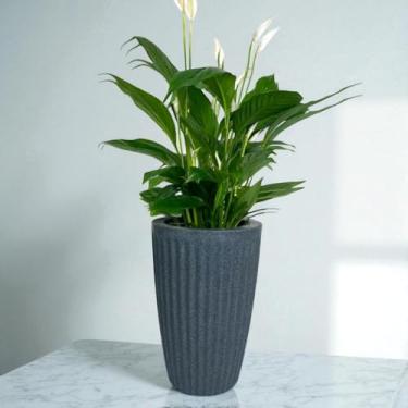Imagem de Vaso decorativo para plantas coluna Romana em polietileno 33x23 (Azul cimento)