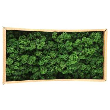 Imagem de Pssopp Rena Preservada Moss Green Moss para Artesanato, Musgo Decorativo para Arranjo Floral, Fabricação de Modelos, Vasos de Plantas (Verde de frutas / 500g)