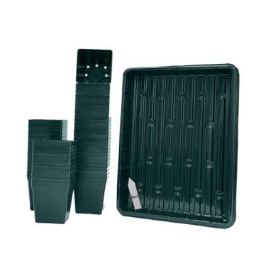 Imagem de June Fox Pacote com 60 vasos quadrados para berçário de 8 cm, bandeja de sementes para iniciantes, 5 peças, vasos pequenos para plantas com orifícios de drenagem para mudas, suculentas (verde)