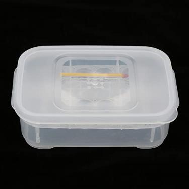 Imagem de 12 Grades Cobras Gecko Lagartos Répteis Ovos Incubadora Bandeja Caixa Incubadora Com Termômetro, Feita de Plástico Transparente, Melhora As Taxas de Eclosão, Método de Incubação