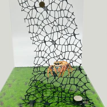 Imagem de Heyshapeing 6 peças de acessórios de habitat de aranha saltadora (3 pretos + 3 brancos - fita de musgo com teias de aranha saltadora com ímãs para maior envolvimento e experiência de escalada