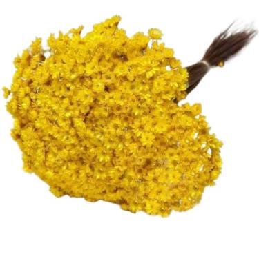 Imagem de SEMPRE VIVAS FLORZINHAS DESIDRATADAS PARA LEMBRANCINHAS ARRANJOS DE MESA CASAMENTOS MAÇO ORGANIZADO(AMARELO)