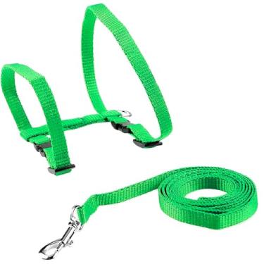 Imagem de Coleira Peitoral para Gatos com Guia, Verde, Poliéster e Aço, Ajustável 19-33cm Pescoço, 24-41cm Barriga, 110cm Guia