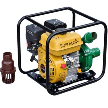 Imagem de Motobomba Bfg 2,1/2'' X 2'' Centrífuga Buffalo 60618