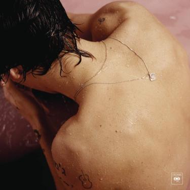 Imagem de Harry Styles [Disco de Vinil]