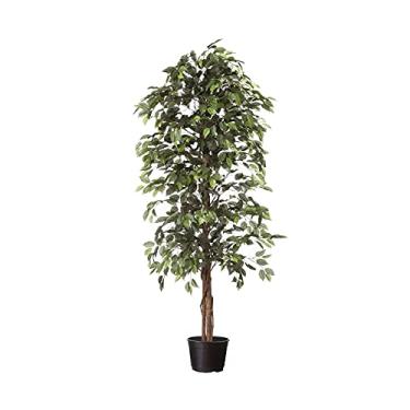 Imagem de Árvore Artificial Ficus 2m | Linha Permanente Formosinha