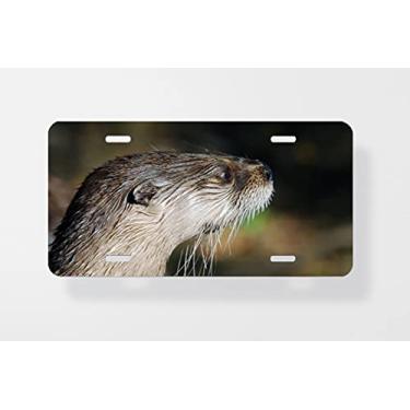 Imagem de Capa para placa de carro Northern River Lontra Canadensis 3 - Capa para placa de carro - Capa para placa de carro 15 x 30 cm