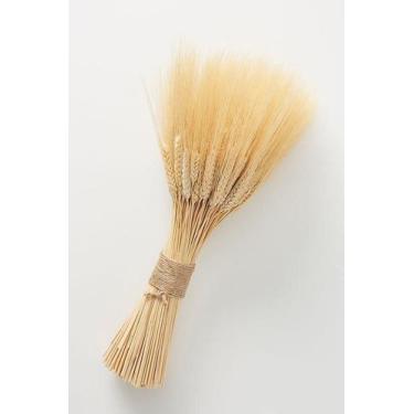 Imagem de 200 Hastes Trigo Seco para Decoração Convites Arranjos - Tem Flores