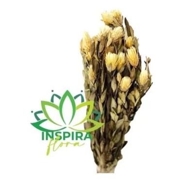 Imagem de Buque Flor Marapoamba Desidratado Arranjo Guirlanda Interior - FLORA F