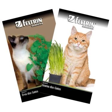 Imagem de FELTRIN, KIT Sementes de Grama e Erva dos Gatos Catnip FELTRIN
