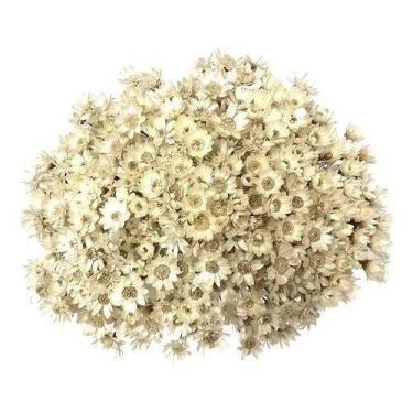 Imagem de Sempre Viva flores Desidratada - Pense Flores, Branca