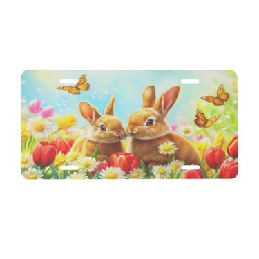 Imagem de Placa de carro com cores de mola de coelho para placas dianteiras de carro alumínio metal adequado para caminhão, placa de porta de carro, bar, café, acessórios automotivos para homens e mulheres 15 x