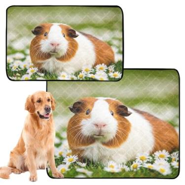 Imagem de TSENQUE Cute Guinea Pig Floral Lavável Dog Pee Pads Impermeável Tapete de Cercadinho para Animais de Estimação Reutilizável, Absorvente, Meio + Grande, Conjunto de 2