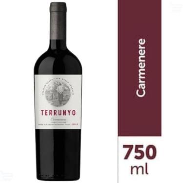 Imagem de Vinho Tinto Chileno Terrunyo Carmenere 750 ml 2018 - Concha Y Toro