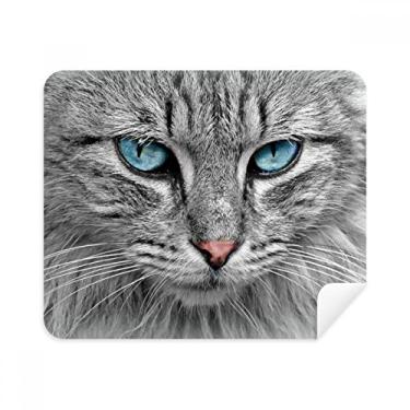 Imagem de Pano de limpeza de tela cinza gato Animal Stare Blue Eyes Limpador de tela 2 peças tecido de camurça
