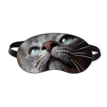 Imagem de Animal olhando para cima fotografia de gato dormir olho escudo macio noite venda cobertura sombra