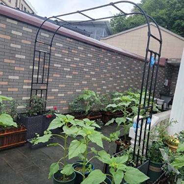 Imagem de Arbor Arqueado Para Jardim De Ferro Arcos Resistentes Para Rosas Escaladas Flores De Metal Treliça Arco De Suporte 120x240cm 200x240cm 230x240cm 240x240cm 300x240cm Automontagem,L300xA240cm/118x94