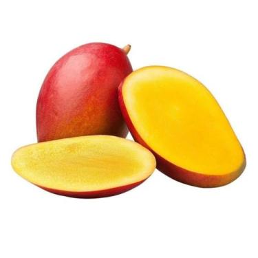 Imagem de Muda Frutífera de Manga Palmer Enxertada - AgroJardim