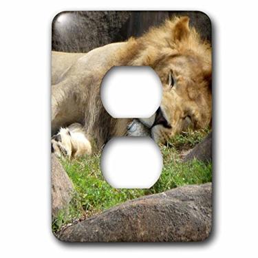 Imagem de 3dRose lsp_98011_6 "O Rei da Selva tomando uma boa soneca de gato em uma tarde quente com 2 tomadas, multicolorido