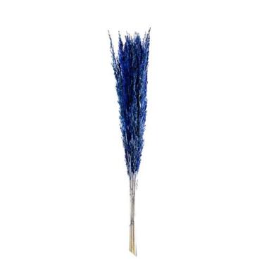 Imagem de Capim Champagne Azul Desidratado - Tem Flores