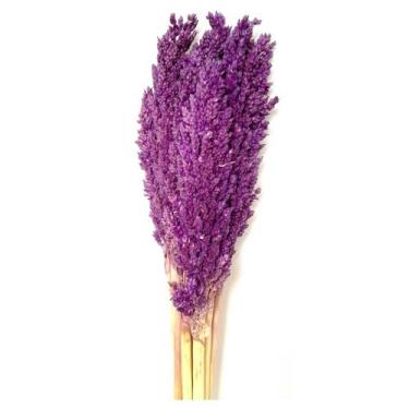 Imagem de Buquê Capim Flor Sorgo Secos Arranjo Desidratado - Inspira Flora, Roxo