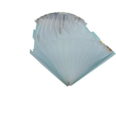 Imagem de Pasta Sanfonada Organizadora com 13 Divisões, Plástico, 23,5 x 33 cm, Alça Embutida, Cores Sortidas Azul Verde Cinza, para Documentos e Material Escolar