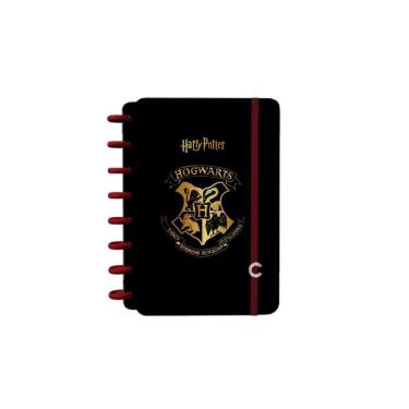Imagem de Caderno Inteligente Harry Potter Jandaia 1 Matéria 80Folhas 