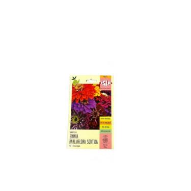 Imagem de Zinnia Dahliaflora Sortida - 300mg de Sementes - ISLA