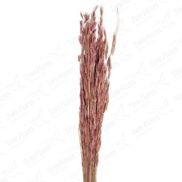 Imagem de Capim Trigão Rosa Flor Desidratada Buque Flores Secas - Tem Flores