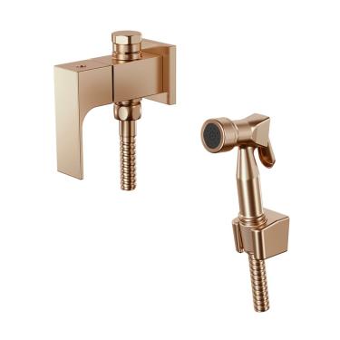 Imagem de Ducha Higienica Com Derivação Fani Retta Champagne  1745 Ch330