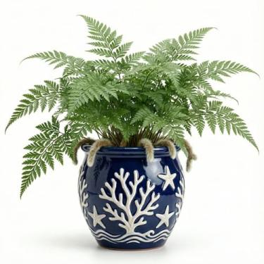 Imagem de Genérico Vaso Redondo para Plantas, Uso Interno, Grande, Preto, Terracota/Barro, Texturizado com Relevo, Redondo, Chão, Vaso de Planta, 15x12x11 cm