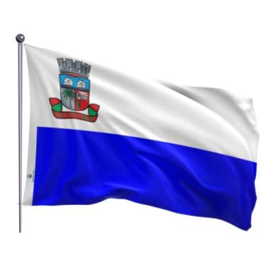 Imagem de Bandeira do Município de Camaçari Uma Face Estampada Tamanho 70x100cm 