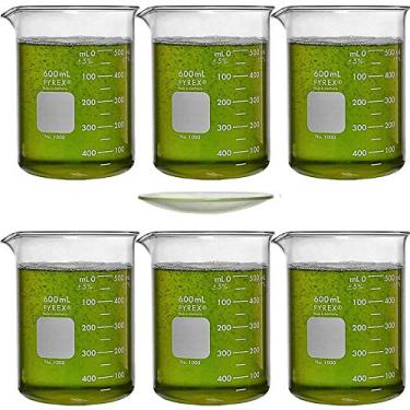 Imagem de Karter Scientific Corning Pyrex 1000-600, 600Ml Low Form Griffin Beaker Com Pyrex 9985-100, Vidro De Relógio Pyrex De 100 Mm (Pacote Com 6)