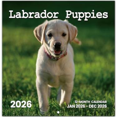 Imagem de Calendário 2026, calendário mensal de parede Labrador Puppy Dogs 2026 de novembro de 2025 a dezembro de 2026, calendário de parede suspenso, aberto de 29,5 x 61 cm, layout de página inteira para