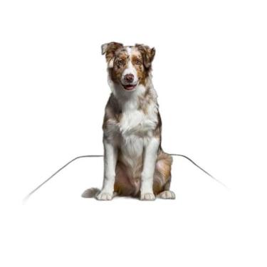 Imagem de Tapete Pet Reutilizável Adestramento Oferta 2 Un M 60X80 Cm - Shelby M