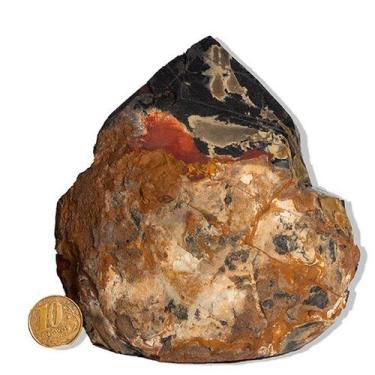 Imagem de 01 Ônix Preto Pé e Bico Serrado 1 a 2Kg 10 a 12cm Tipo B - CristaisdeC