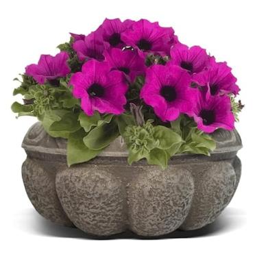 Imagem de Vasilha de plástico de 25,4 x 12,7 cm. Design de vasilha decorativa para plantas internas e externas Vaso de flores redondo Cantera branca