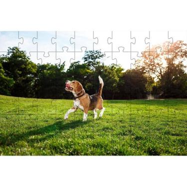 Imagem de Kit 2 Quebra-Cabeça Inclusivos Beleza Cachorros Em 60 Peças