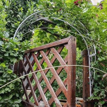 Imagem de Treliça De Arco De Jardim De Metal Montada Na Parede Treliça De Jardim Em Arco De Rosa Para Plantas Trepadeiras Arco De Jardim Para Portas De Janelas, White