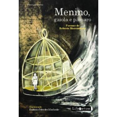 Imagem de Menino, gaiola e pássaro: poemas de Roberto Marcantonio  Obra póstuma 