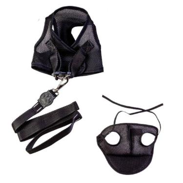 Imagem de Kit boné e coleira para cães - colete e boné aerado preto p