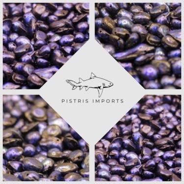 Imagem de Cascalho de madrepérola - Pistris Imports, Mix branco, 100 unidades